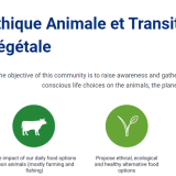 CrĂ©ation d’une communautĂ© Ethique Animale et Transition VĂ©gĂ©tale sur le nouveau Hub