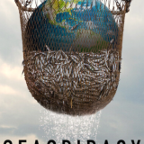 Seaspiracy, la pêche en question (2ème partie)