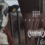 Documentaire “73 cows”