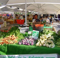 Le marché bio