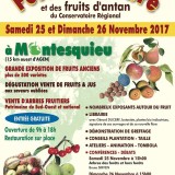 25-26 Nov! FĂŞte de l’arbre – Monstesquieu