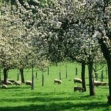 L’ AgroĂ©cologie expliquĂ©e aux enfants… et leurs parents aussi