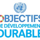 MOOC sur les Objectifs de DĂ©veloppement Durable (ODD) de lâONU