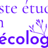Nos Ă©tudiants se rĂ©veillent … Ă©cologiquement !