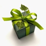 DĂ©couvrez 10 Ă©co-gestes pour des fĂŞtes de fin d’annĂ©e ZĂ©ro Empreinte ForĂŞt !