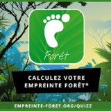 Le rapport sur l’impact des Français sur la déforestation importée