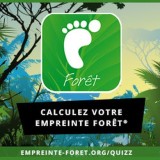 Le rapport sur l’impact des Français sur la dĂ©forestation importĂ©e