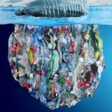 Le plastique ne devrait pas se trouver lĂ !! Regardez ce film …