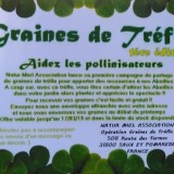 Graines de Trèfle – Aidez le pollinisateur