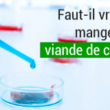 Faut-il vraiment manger de la viande de culture?