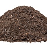 29 Mars 2019: Distribution de compost