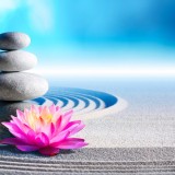 19 Mai 2019: « Bien – ĂŠtre » Ă  Montberon