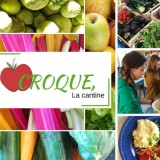 Craquez pour Croque !