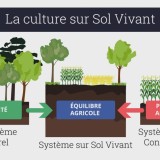 e-Formation du mois: Agriculture sur Sols Vivants