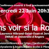 Visioconférence à propos des Roses